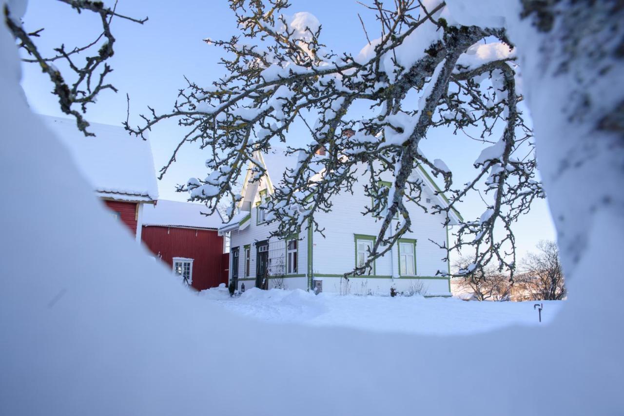 Stromnes - Oldefars Gjestehus Inderoy Straumen  Exteriör bild